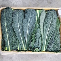 뉴그린 500g