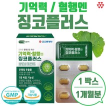 기억력 혈앤엔 징코플러스 2개월분 은행잎 추출물 150mg 식약처 고시 최대량 플로보놀 배당체 36mg 함유 남자 여자 중년 장년 부모님 어르신 노년층 직장인 혈행이 걱정되시는 분, 15g, 6개   180정 180일분