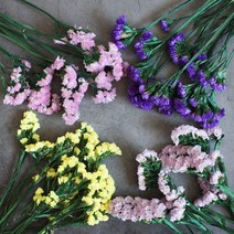 프리저브드 스타티스 소량판매/4색 건조화 플라워 재료, 03. 스타티스(바이올렛)
