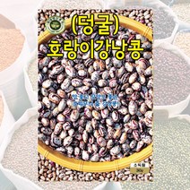호랑이강낭콩씨 30g 콩씨 씨앗 대장 KS종묘, 1개