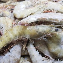 국내산 급냉 제철 흰다리새우 1kg 35미 내외 냉동 신안 고흥 국산, 급냉 흰다리새우 1kg 35미 내외