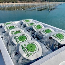 아빠매생이 장흥 내저 찰매생이 햇매생이 당일채취 당일발송, (당일채취) 장흥 내저 햇매생이 350g 3재기