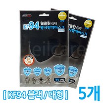 웰클린 황사마스크 KF94 블랙 대형 미세먼지 마스크, 5개