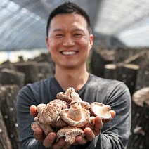 산지직송 국산 생 표고버섯 영지버섯 선물세트 생표고 특품 백화고 흑화고 동고 슬라이스, 자연 1호