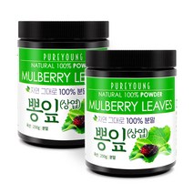 퓨어영 국산 뽕잎가루 250g, 뽕잎가루 250gx2통
