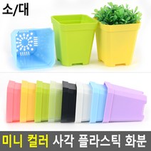 인테리어화분 미니식물화분, 소 - 핑크