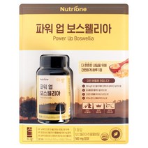 뉴트리원 파워업 보스웰리아 500ML X 120정, 단품, 1개, 120개