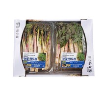 당일수확 강원도재배 땅두릅 두릅 300g, 눈꽃 땅두릅 500g