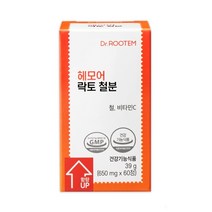 닥터루템 헤모어 락토 철분 650mg 60정 혈액생성필수 비동물성 비헴철 임산부철분