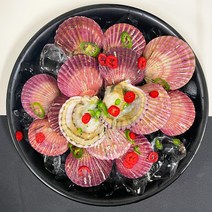 통영 앞바다 신선한 제철 비단가리비 1kg 2kg 3kg, 비단가리비 2kg