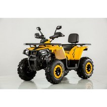 ATV 200/UTV/사륜오토바이/제설용 ATV/농업용 ATV/사발이