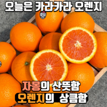 [오늘도과일] 분홍빛 과즙 카라카라 오렌지 자몽 오렌지 프리미엄, 10과
