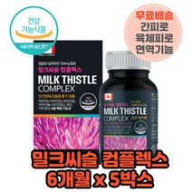 만성피로영양제 간영양제 간비타민 기운이없을때 비타민B군 아연 5박스
