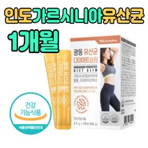 가르시니아 열매껍질 HCA 유산균 다이어트 분말 체지방 감소 도움 건강 기능 식품 식약처 인증 추천 제품 장건강 추출물 락토바실러스 플란타룸 가세리 루테리 파우더 스틱