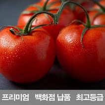 [CDS-212]영화청과 국내산 토마토 2kg 프리미엄 백화점 남품 요리 즙 키우기 재배, 본상품