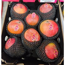 온어프레시 프리미엄 애플망고 당도선별 2kg/4kg, 애플망고 4kg(7-10과)