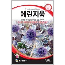 에린지움 50립 꽃씨 다년생 꽃씨앗 봄 여름 가을 야생화 세계종묘 농사마트