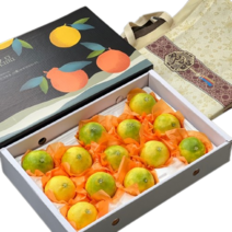 [산지직송] 제주 황금향 귤 가정용 선물용, 가정용 5kg (중)