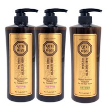 댕기머리 프리미엄 한방샴푸 명품 오현 수페온 외, 오현 500mL 지성샴푸2개+트리트먼트1개