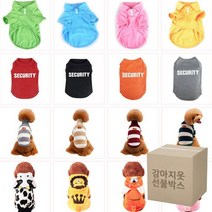 강아지옷 선물박스, 봄가을-4벌