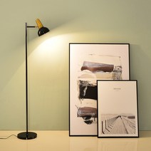 콜린퍼스 장스탠드 플로어 무드등 감성 조명 화이트+8w led 벌브 노란빛, 색상