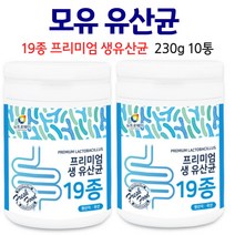 성인 유산균 남성 냉장보관 X 어른유산균 프로바이오톡스 락토바실러스 루테리 가세리 모유 유래 유상균 학생유산균분말, 10통, 230g
