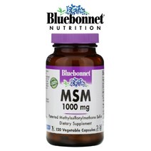 블루보넷 옵티 엠에스엠 opti MSM 1000mg 120캡슐