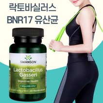 스완슨 락토바실러스 가세리 BNR17 비엔알17 프로바이오틱스 비에날씬 다이어트 모유유래 유산균 영양제, 60캡슐