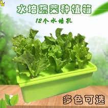 재배 디바이스 집안 베란다 반찬 기계 방안 워터 상자를 심는 플라스틱화분 가든픽, T06-그린썬 산소증폭 물 배상자, C01-중하