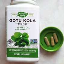 네이쳐스웨이 고투콜라 950mg 180캡슐 비건