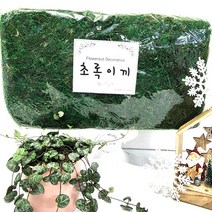 초록이끼 화분 인조이끼 약650g 1개/조화 장식/실내 조경 인테리어/원예용 화분갈이, 1개