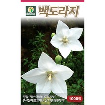 다농 잔대 1g - 씨 씨앗 잔대씨앗 잔대씨 딱주 사삼 나물씨앗 민속채소 채소씨 채소씨앗 딱주씨앗 딱주씨, 19_다농_백도라지(1000립)