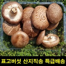 에스 ND 고씨네 생표고버섯중 상품1 kg 선물, 쿠팡 1, 쿠팡 본상품선택
