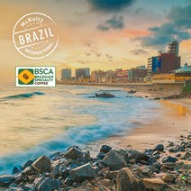 [맥널티 생두] 브라질 벨라비스타 NY2 옐로우버번, 5kg, 1개