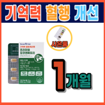 징코 뇌건강 기억력 인지력 은행잎 추출물 집중력 장애 저하 감퇴 기능 향상 개선 에좋은 식품 식약처 정맥순환개선 하지정맥 다리 혈액순환 피 맑게 하는 영양제 음식 약 1개월분, 1통, 30정