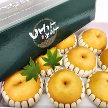 [프리미엄] 직접키운 나주배 신고배 가정용 선물용 5kg 7.5kg 당도선별, 선물용 나주배 7.5kg (9-10과)