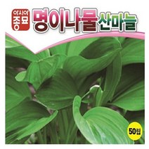 산마늘씨앗종자 명이나물-산마늘(50립) S2541