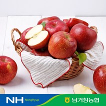 [남거창농협]달콤아삭 사과 5kg(중과)21-23과 내외, 단품