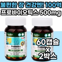 청소년 어린이 장 영양제 비피더스유산균 100억 고함량 락토바실러스 플란타룸 람노서스 카제이 루테리 가세리 모유 질 김치 유래 유산균 포함 장내 유익균 증식