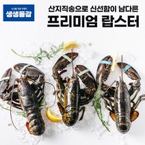 고씨네 활랍스타 450g 랍스터 자숙랍스터 킹크랩, 단품