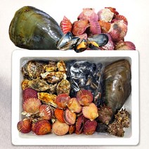[식품의전당] 캠핑 모듬 가리비 조개구이 조개찜 조개탕 세트 밀키트 2kg 4kg 4인 5 ~ 6인용, 2.캠핑 모듬조개세트(대)
