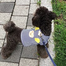 멜팅룩 강아지 하네스 옷 봄 여름 고양이 애견 조끼, 블랙 스트라이프
