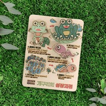 개구리 성장과정 배우기 우드 컬러링 만들기 DIY 키트 학습