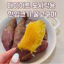 2022 해남 햇고구마 꿀고구마 베니하루카 베니하루까 한입 고구마 작은 고구마 다이어트 도시락 적당한 크기 3kg 5kg 10kg