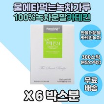 물대신먹는차 100%녹차추출물분말 녹차추출물 카테킨 6통분 카테킨분말 카테킨가루 뿌려먹는 물에타먹는 카테킨녹차 물과함께먹는 녹차분말 대용량분 카테킨분말형 녹차분말형태 녹차카테킨