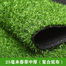 인조 플라스틱 모조잔디 그린 잔디 카펫 나무 인테리어 장식 식물 가정용 네츄럴 정원 유치원, 2.5cm 봄풀 원료 보강(1평)가