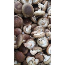 다원 명품표고버섯 1kg, 1개