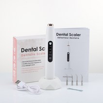 울트라 소닉 일렉트릭 치과 미적분 스케일러 구강 치아 타르 리무버 플라크 얼룩 클리너 제거 화이트닝 Portabl, [01] WHITE