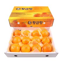 농장직송 고당도 황금향 3kg 5kg 소과, 1박스, 황금향(중) 3kg(17~19과)