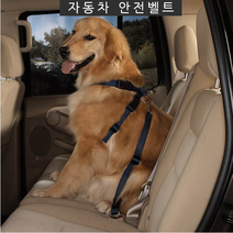 잔량덤핑 훈련 차량 애완견 자동차 강아지 안전벨트, 레드